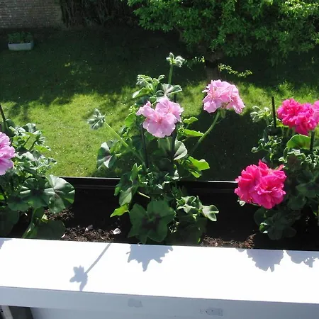 Apartman Haus Karlo Büsum