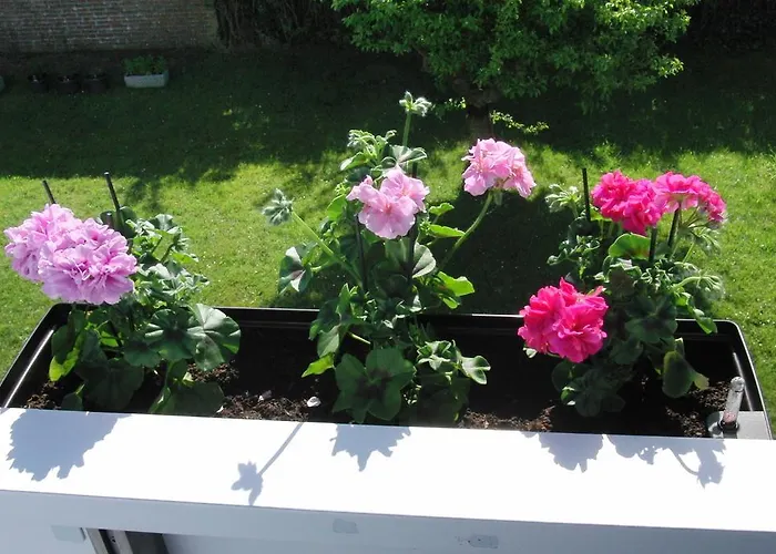 Appartamento Haus Karlo Büsum